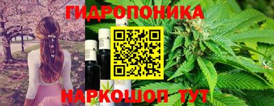 сатива Краснокаменск