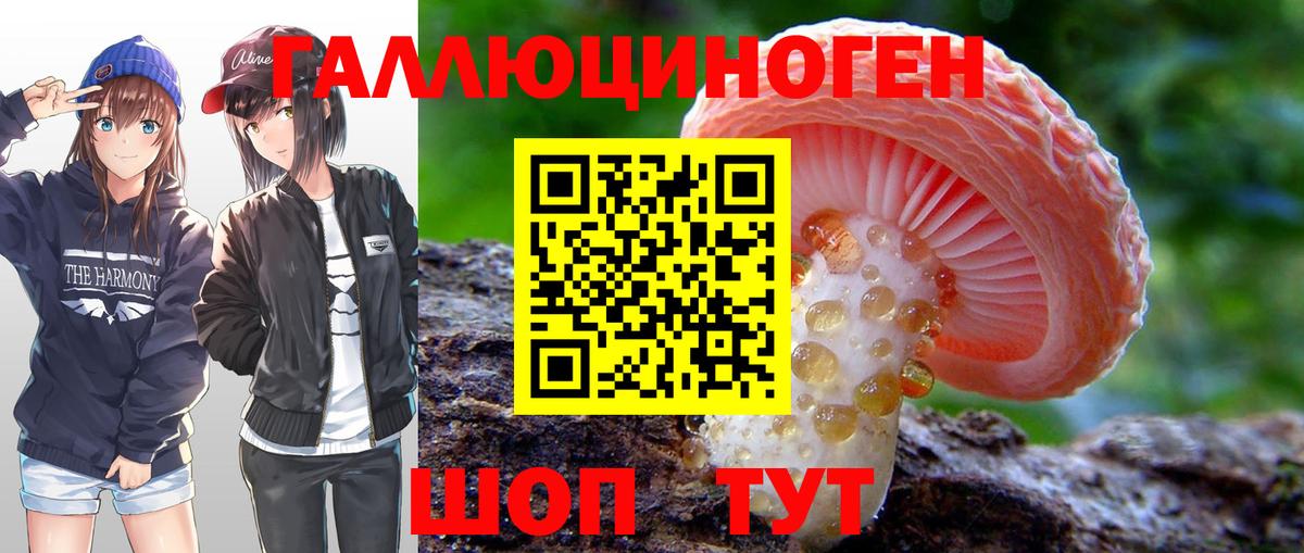 Ипатово  купить  цена  Вход с VPN  Галлюциногенные грибы GOLDEN TEACHER 